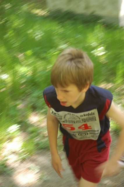img00040.jpg