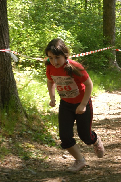 img00043.jpg