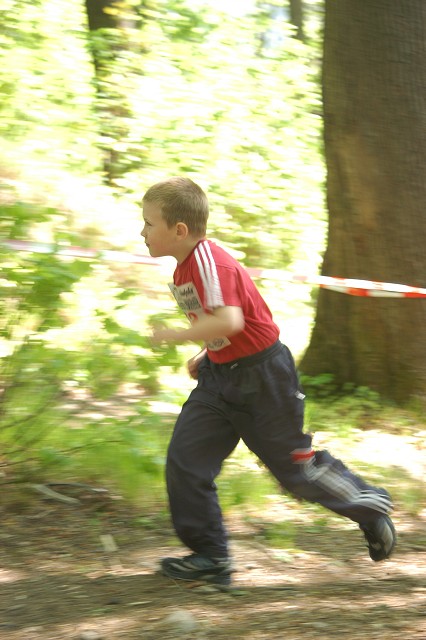 img00049.jpg