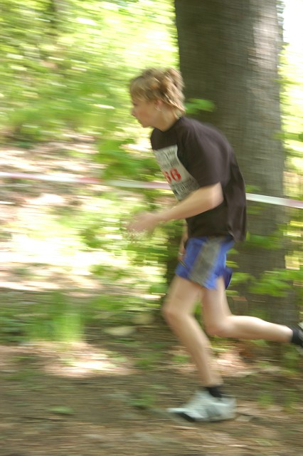 img00054.jpg