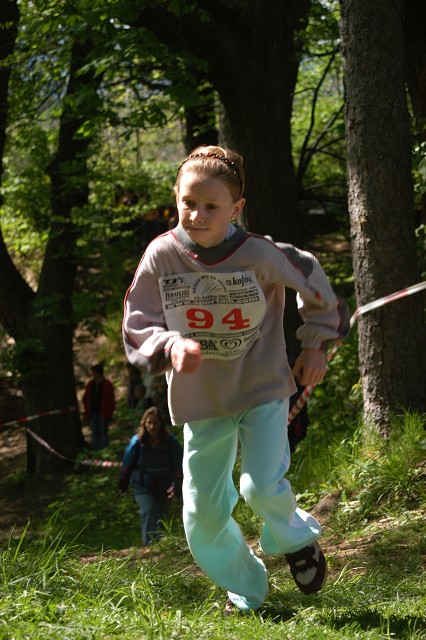 img00070.jpg