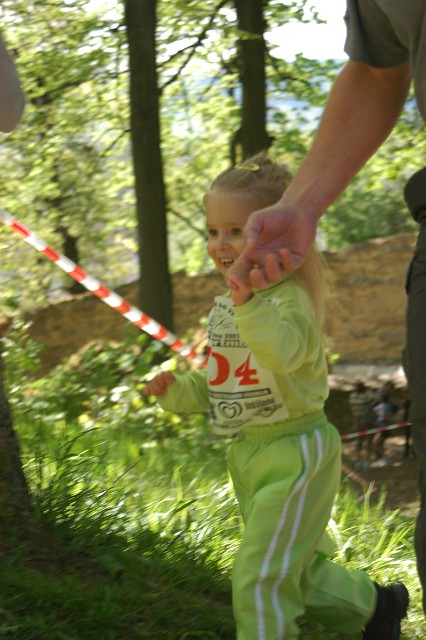 img00092.jpg