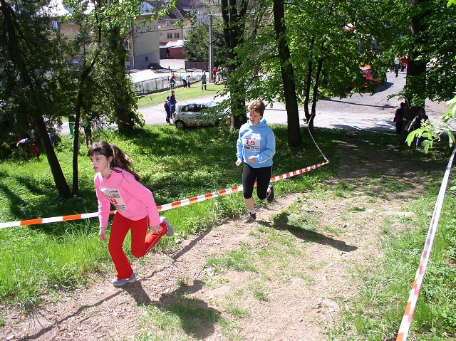 img00105.jpg