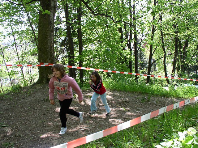 img00108.jpg