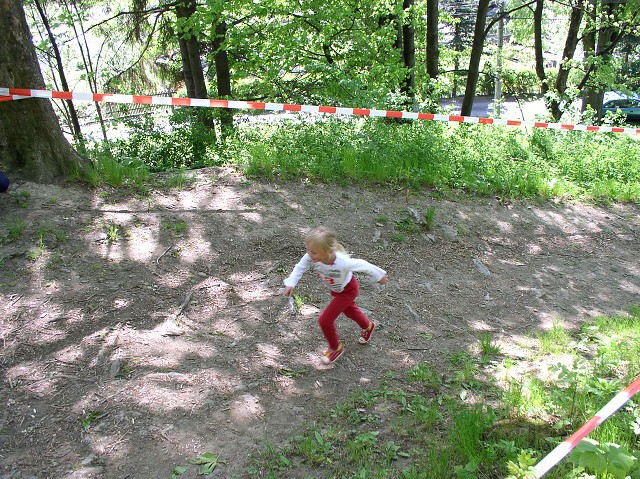 img00109.jpg