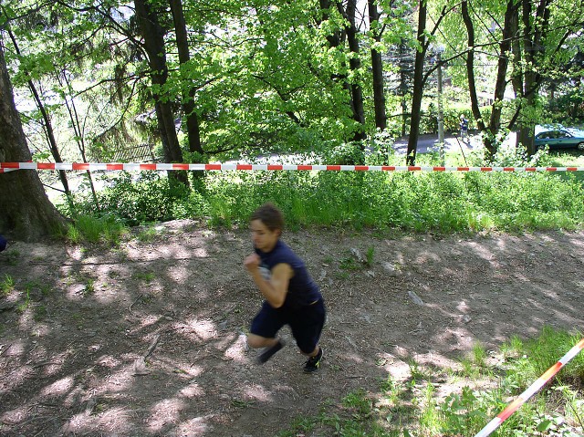 img00110.jpg