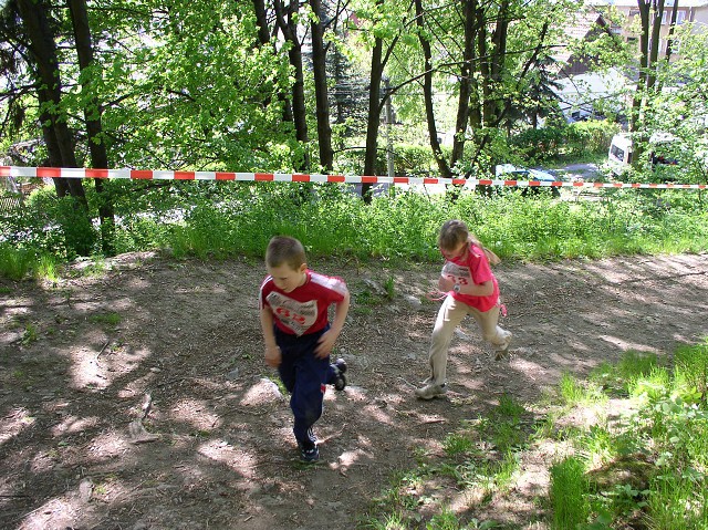 img00113.jpg