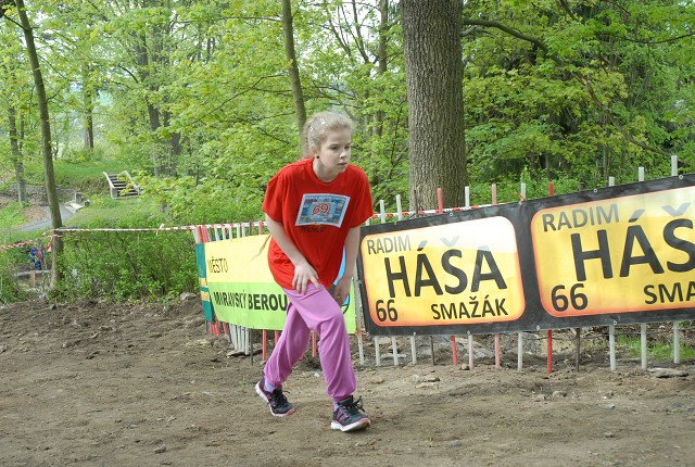img00096.jpg