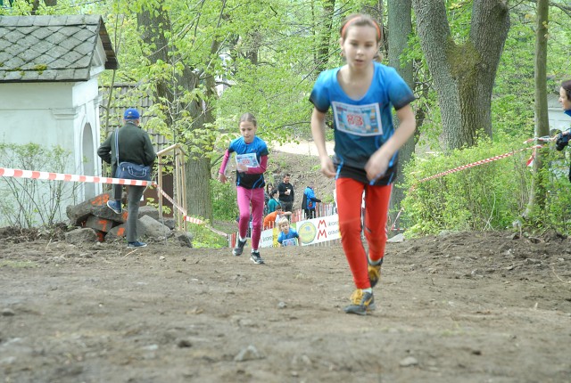 img00109.jpg
