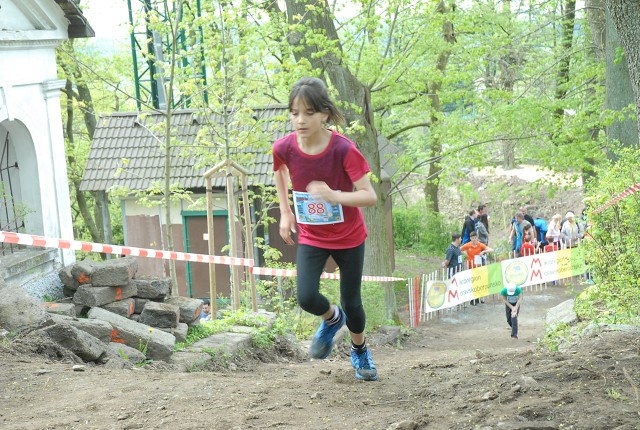 img00113.jpg