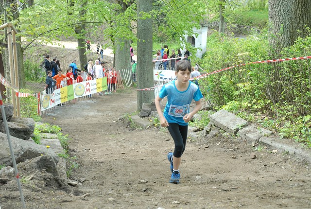 img00115.jpg