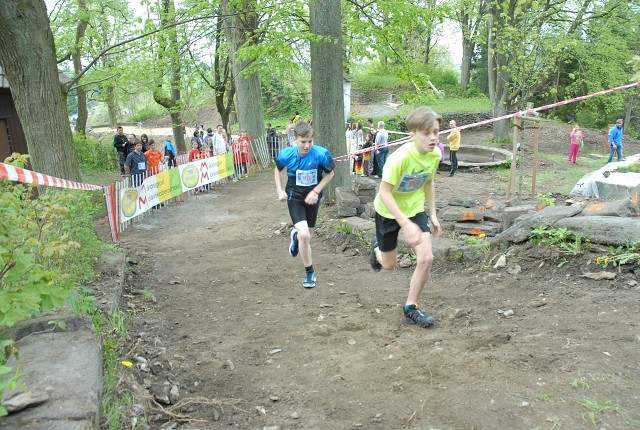img00118.jpg