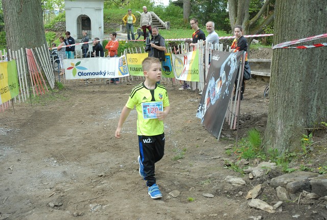 img00135.jpg