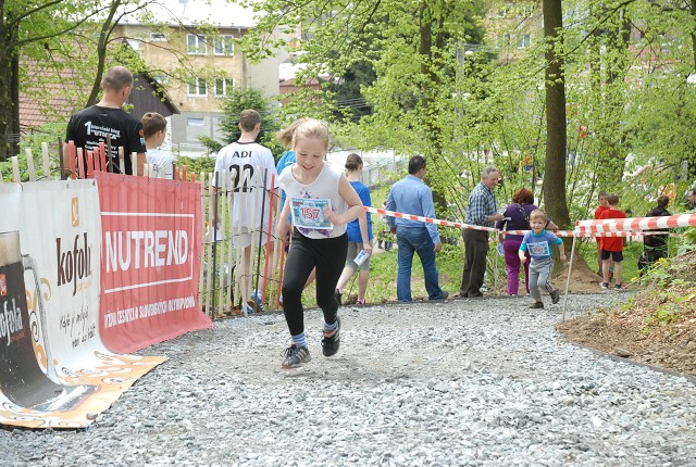 img00167.jpg